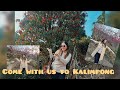 Come with us to Kalimpong | February vlog | Daily vlog | cherry blossom 🌸#kalingpong #cherryblossom