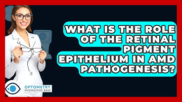 What Is The Role Of The Retinal Pigment Epithelium In AMD Pathogenesis? - Optometry Knowledge Base