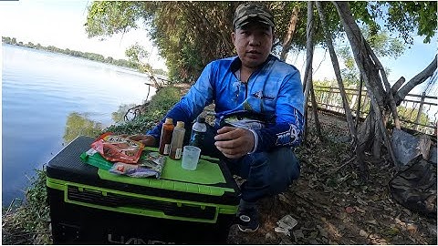 Câu rô phi hồ thiên nhiên: đo đáy chọn điểm câu, pha mồi cơ bản (phần 1)