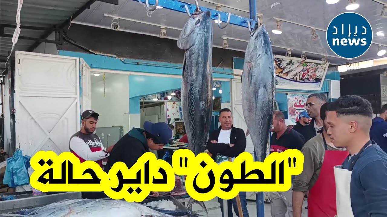 وفرة كبيرة في سمك التونة الحمراء بأسعار في المتناول....شاهدوا الإقبال الكبير عليها بولاية الطارف