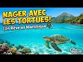 INCROYABLE : On a nagé avec les tortues en Martinique ! 🐢 #vlog #martinique #voyage #travel #plongee