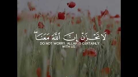 القارئ عبد الرحمان مسعد سورة (التوبة)