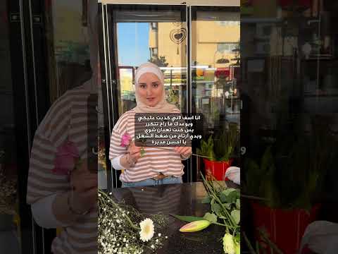 الموظف و المديرة