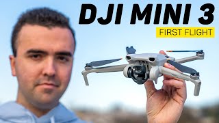 DJI Mini 3 First Full Flight \& Impressions