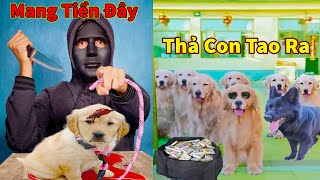 Thú Cưng TV | Trứng Vàng và Trứng Bạc #12 | Chó Golden Gâu Đần thông minh vui nhộn | Pets smart dog