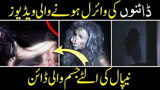 Top 5 Scary Videos That'll Make You SCREAM @PurisrarDunya