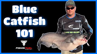 Catfishing  How To Catch More & Bigger Catfish