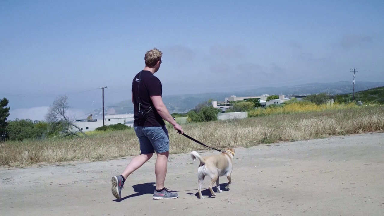 Tristan Abel ~ 2017 Sawdust Artist Profile Video