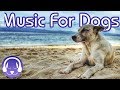 Dog Music: Instant Relaxation For Your Dog! (15 HOURS) (EXTENDED)