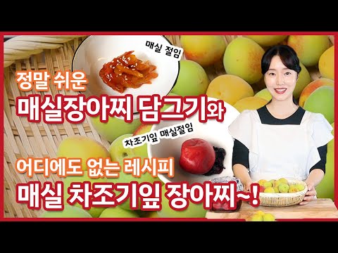 건강한 매실장아찌 와 매실차조기잎장아찌(우메보시) 담그기~! 이정현 레시피 thumbnail