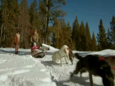 call-of-the-wild-(2009)-trailer