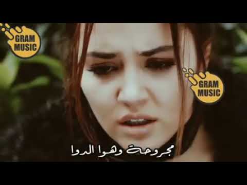 وحدي والدنيا برد بعمته كانون