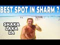 Excursion to WHITE ISLAND -  Boat Trip Ras Mohamed - Top Things to do in Sharm el Sheikh, Egypt 🏝️