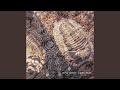 Miniature de la vidéo de la chanson Begins Looking Skyward