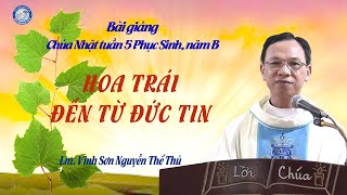 Bài giảng Lm Vinh Sơn Nguyễn Thế Thủ / HOA TRÁI ĐẾN TỪ ĐỨC TIN / Chúa nhật tuần 5 Phục Sinh, năm B