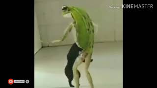 Dangdut lukaku versi kodok bergoyang