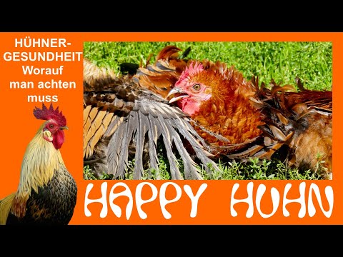 Video: Masthühner: Krankheiten Und Ihre Vorbeugung