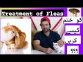 Treatment of fleas and ticks in cats  best home remedies urdu hindi