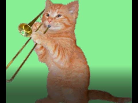 #try not to laugh#rufus#Funny Cats and Kittens Meowing Compilation