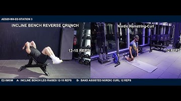 INCLINE BENCH REVERSE CRUNCH -- Nordic Hamstring-Curl