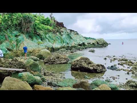 Green Claystone |