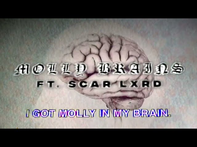 SosMula x Synthetic - MOLLY BRAINS ft. scarlxrd (Official Audio + Visualizer) class=