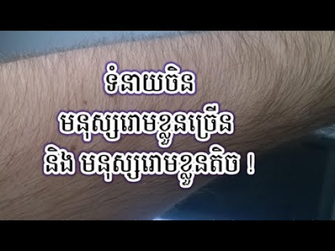 ទំនាយចិនមនុស្សមានរោមលើខ្លួនច្រើន និងមនុស្សមានរោមខ្លួនតិច!, Mc vviews