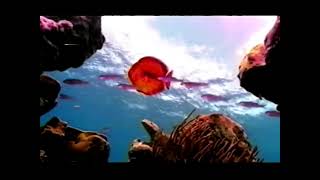 Shell Vpower  Eels Commercial 2005