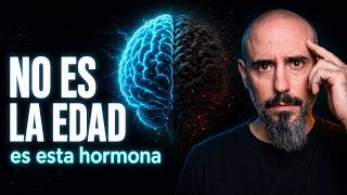 La hormona que apaga tu cerebro después de los 40