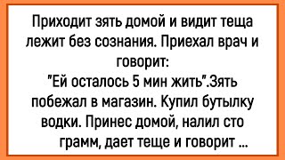 💎Как Тёща Сознание Потеряла! Сборник Смешных Анекдотов! Юмор! Позитив!