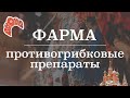 Противогрибковые препараты (механизм действия, амфотерицин В, нистатин) | Фармакология