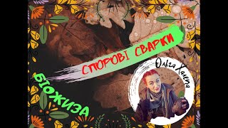 картинка: Мохи. Папороті. 