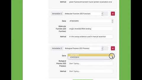 Functional Annotation Using The Generic Online Annotation Tool