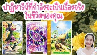 ปาฏิหาริย์ที่กำลังจะเป็นเรื่องจริงในชีวิตของคุณ🌹pick a deck🔮🐘🦋💍👩‍❤️‍👨🍀🌳💒⛲.....