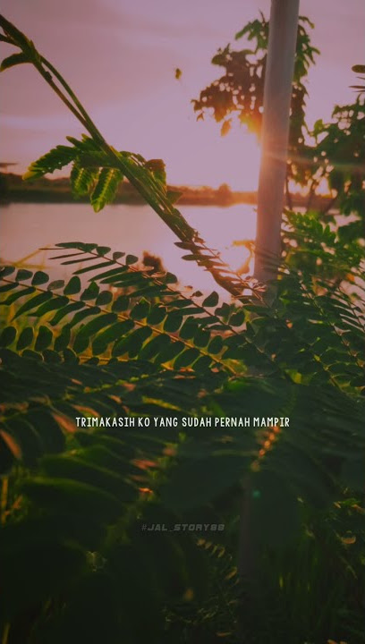 Story wa 30detik - sa pu takdir