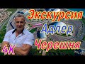 Экскурсия Адлер - Черешня. Дешево ? Ищем дом и участок! 4К