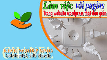 Khởi Nghiệp MMO LÀM VIỆC VỚI PUGINS TRONG WEBSITE WORDPRESS THẬT ĐƠN GIẢN online start up