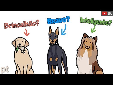 Vídeo: Os cães dobie são agressivos?