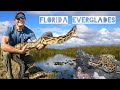 Catching Invasive Pythons in the Florida Everglades!