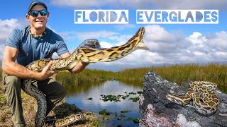 Catching Invasive Pythons in the Florida Everglades!
