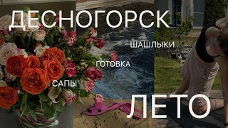 VLOG | поездка в Десногорск. Шашлыки, готовка, спорт