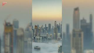 Time-Lapse Captures Color-Changing Sky Over City - 1793474 -11