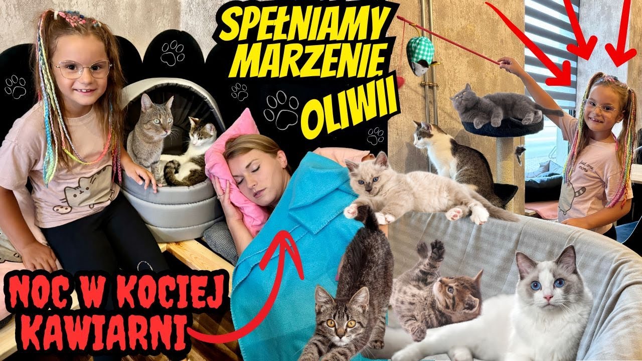 Spędziłyśmy noc z kotami w kawiarni🌙🐈‍⬛ Nasz najlepszy challenge💖😻