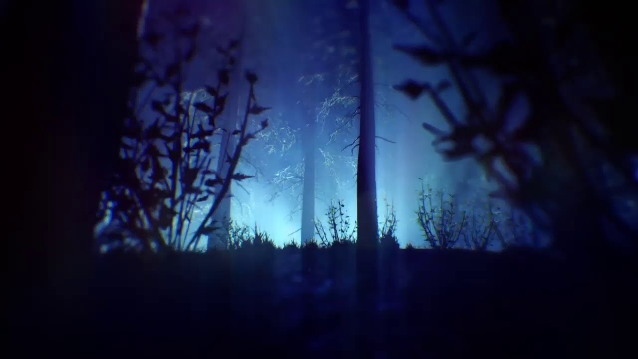 no corona virus here