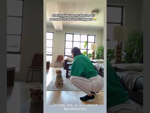 Jen Selter Stories, August 21, 2026