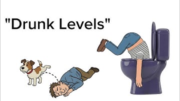 The 7 levels of Drunk — Casually Explained