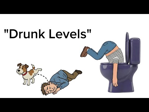7 Crazy  Drunk levels— Casually Explained