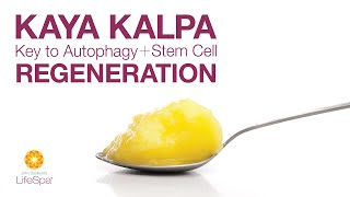 Kaya Kalpa: Key to Autophagy + Stem Cell Regeneration  | John Douillard's LifeSpa