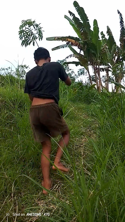 anak gen z nongkrong di cafe lah kita nongkrong di sawah #petani