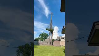 A Day of Felling Giant Dead Trees #satisfying #tree #asmr #oddlysatisfying #giant